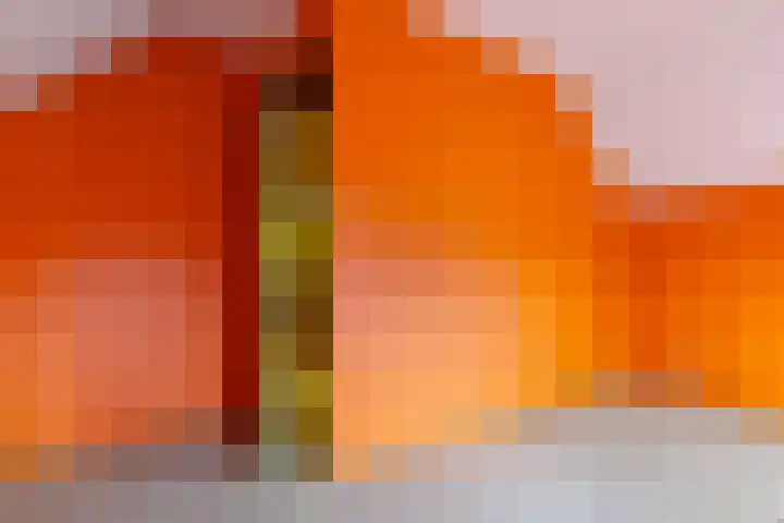 Dorpsstraat 27 Ees thumbnail 34