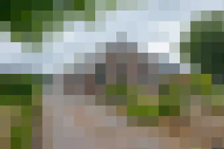 Dorpsstraat 27 Ees thumbnail 4