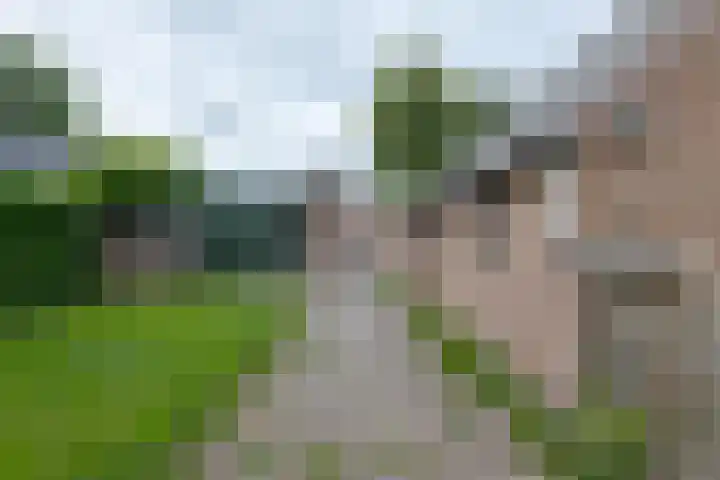 Dorpsstraat 27 Ees thumbnail 44