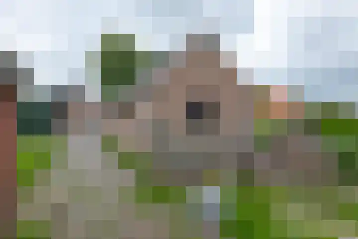 Dorpsstraat 27 Ees thumbnail 45