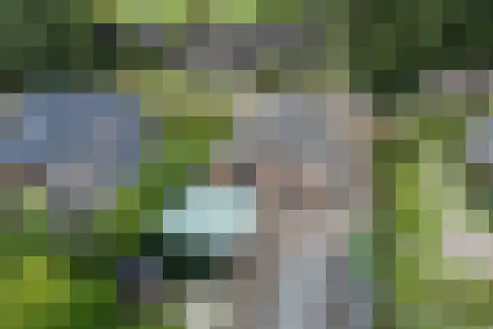 Dorpsstraat 27 Ees thumbnail 5