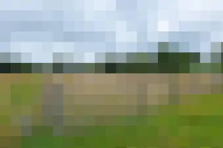 Dorpsstraat 27 Ees thumbnail 50