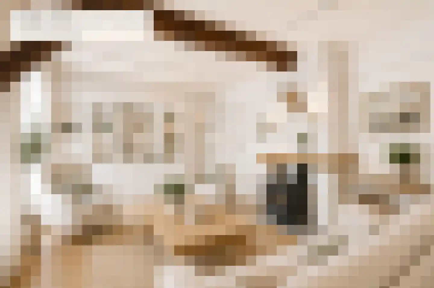 Dorpsstraat 27 Havelte thumbnail 22
