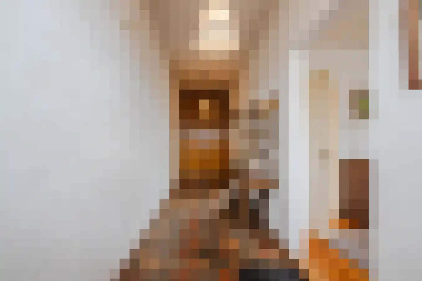 Dorpsstraat 27 Havelte thumbnail 23