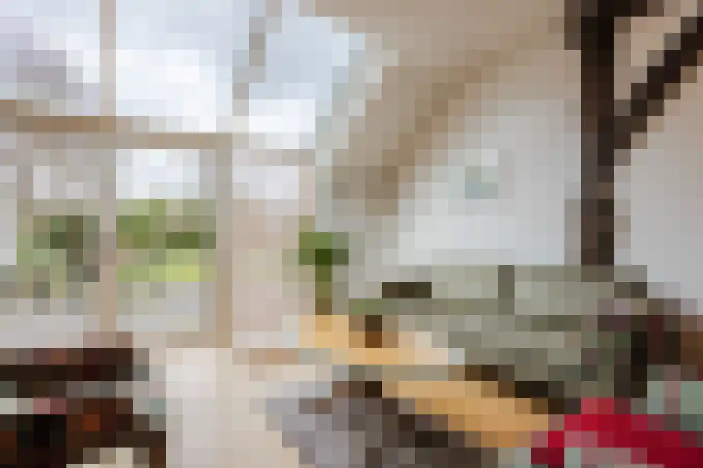 Dorpsstraat 27 Havelte thumbnail 25