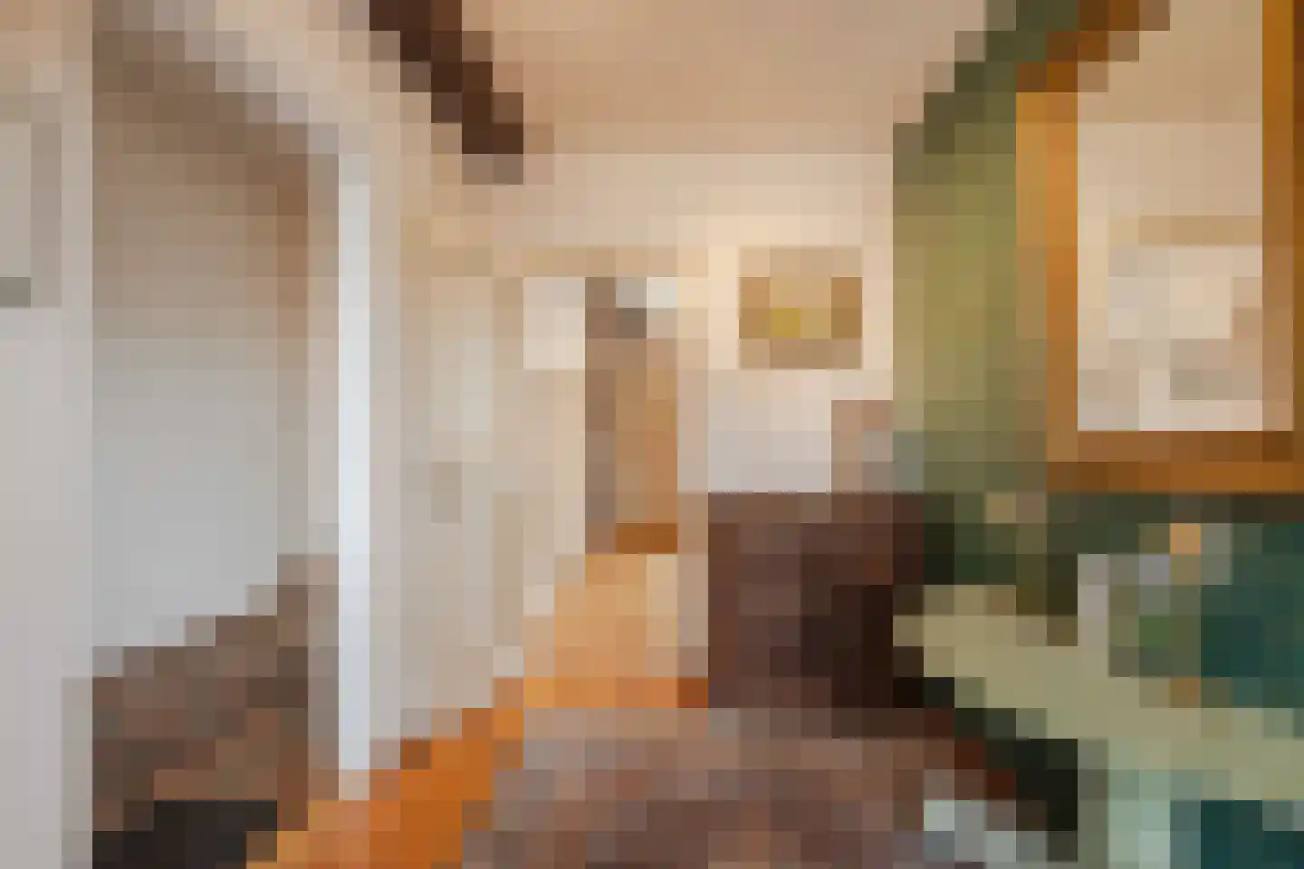 Dorpsstraat 27 Havelte thumbnail 26