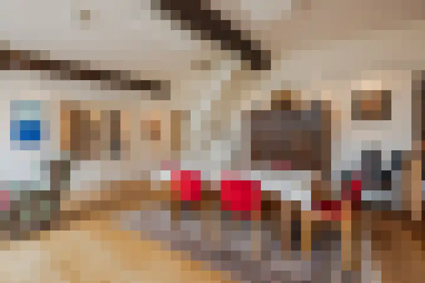 Dorpsstraat 27 Havelte thumbnail 28