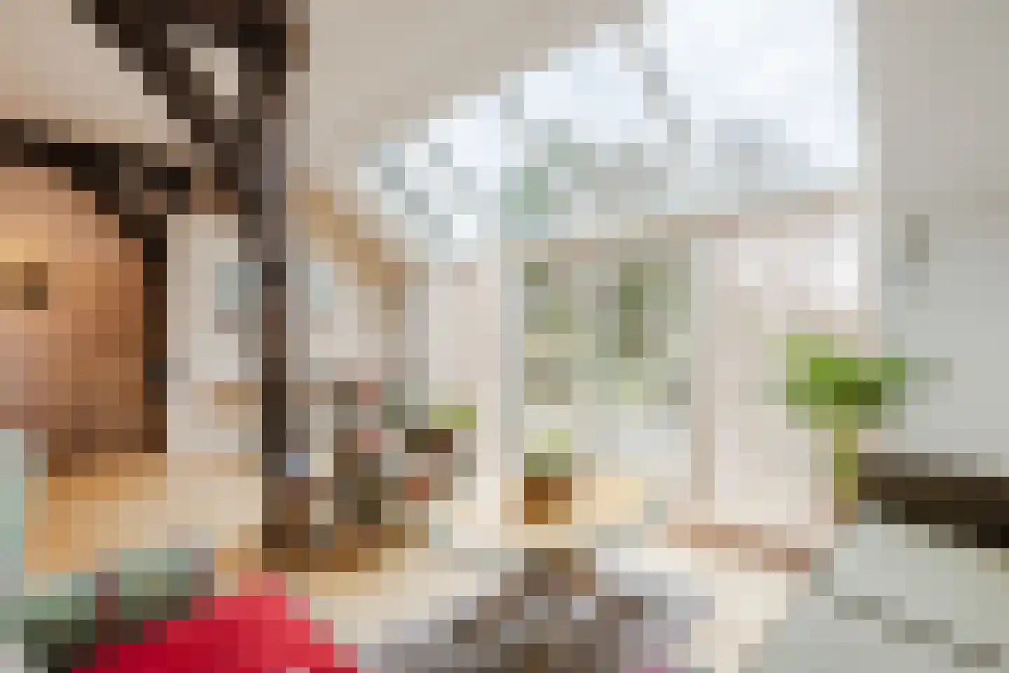 Dorpsstraat 27 Havelte thumbnail 31