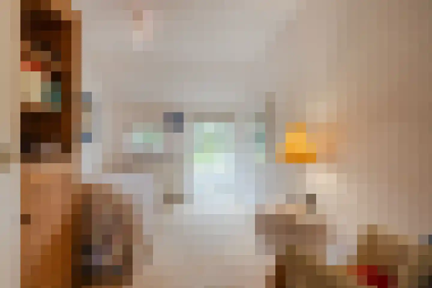 Dorpsstraat 27 Havelte thumbnail 35