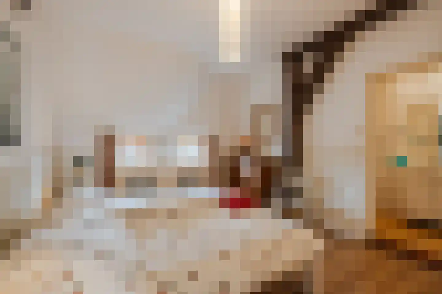 Dorpsstraat 27 Havelte thumbnail 36