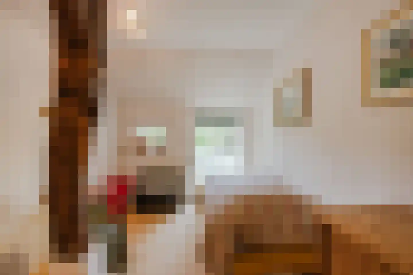 Dorpsstraat 27 Havelte thumbnail 37