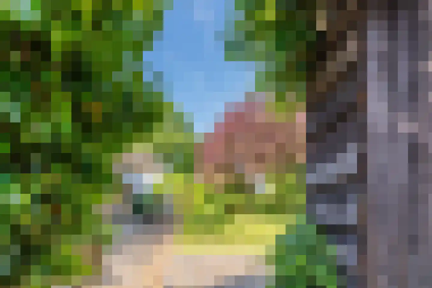 Dorpsstraat 27 Havelte thumbnail 5