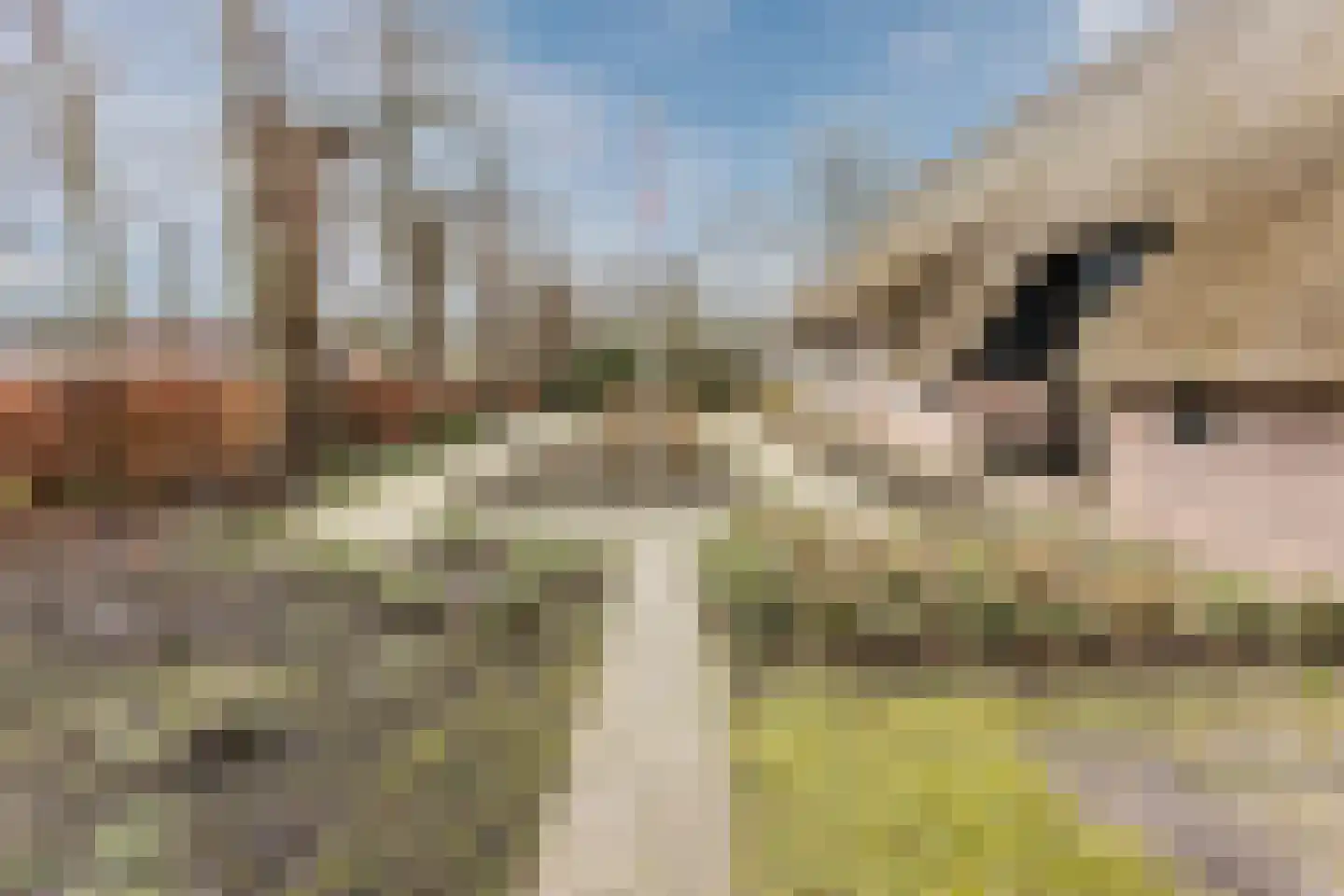Dorpsstraat 27 Havelte thumbnail 6
