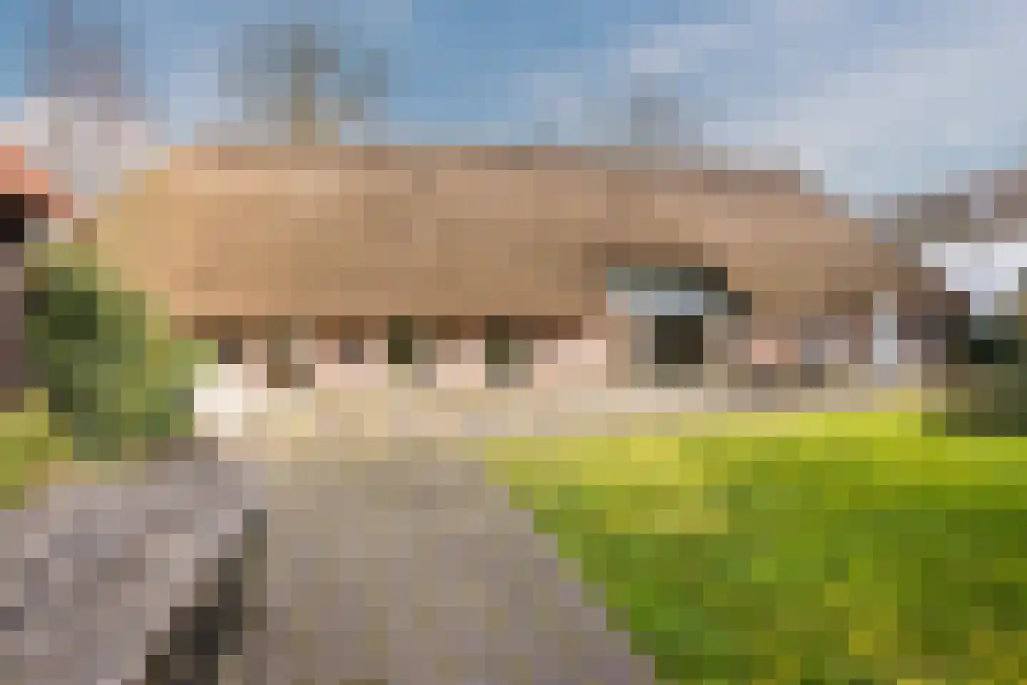 Dorpsstraat 27 Havelte thumbnail 69