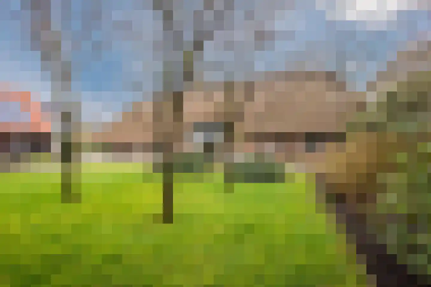 Dorpsstraat 27 Havelte thumbnail 70