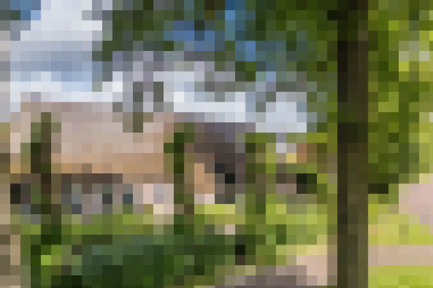 Dorpsstraat 27 Havelte thumbnail 83