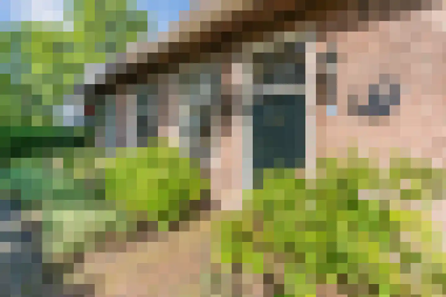 Dorpsstraat 27 Havelte thumbnail 86