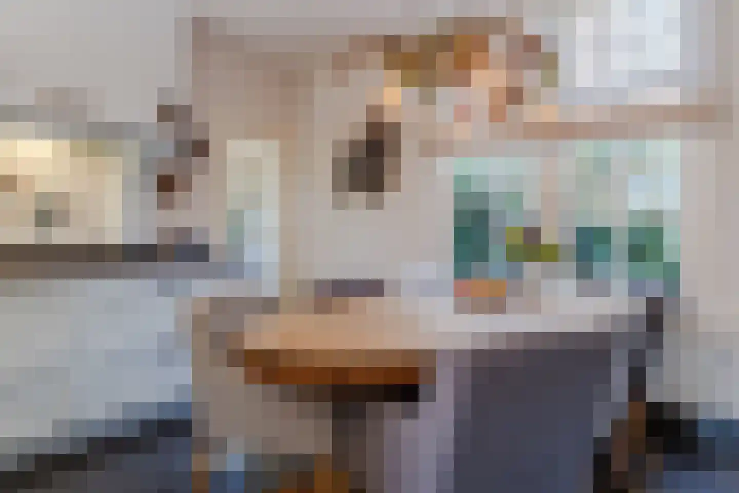 Dorpsstraat 27 Nieuwer Ter Aa thumbnail 13