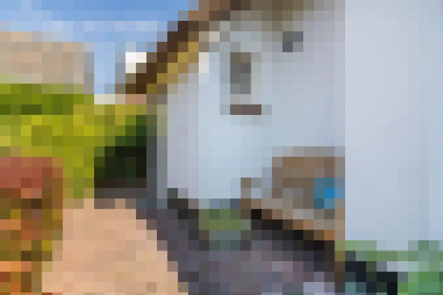 Dorpsstraat 27 Nieuwer Ter Aa thumbnail 32