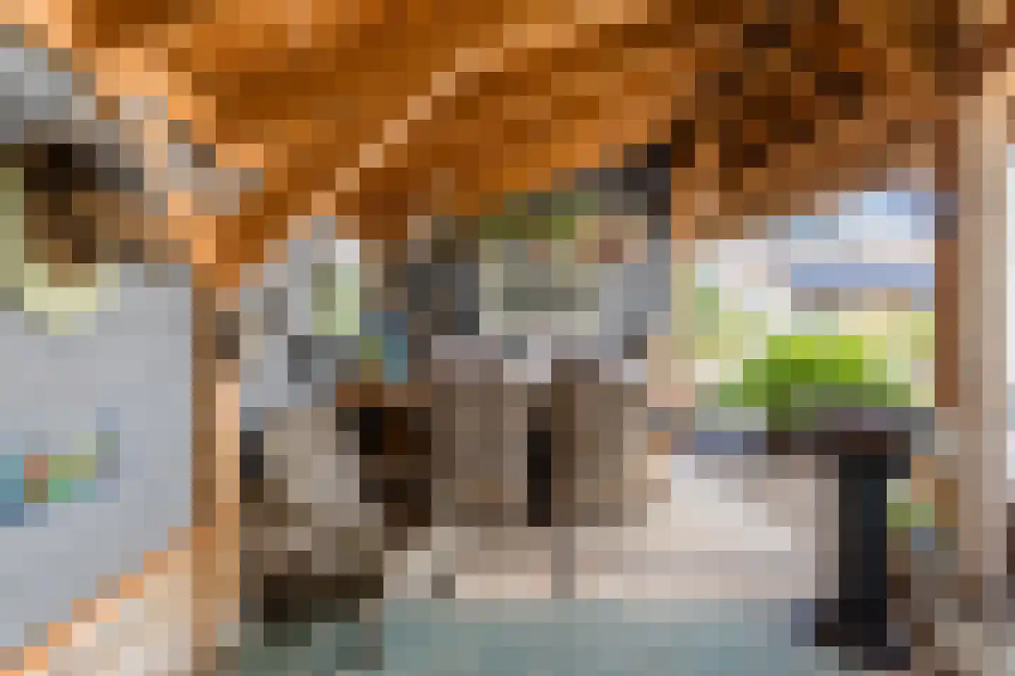 Dorpsstraat 27 Nieuwer Ter Aa thumbnail 37