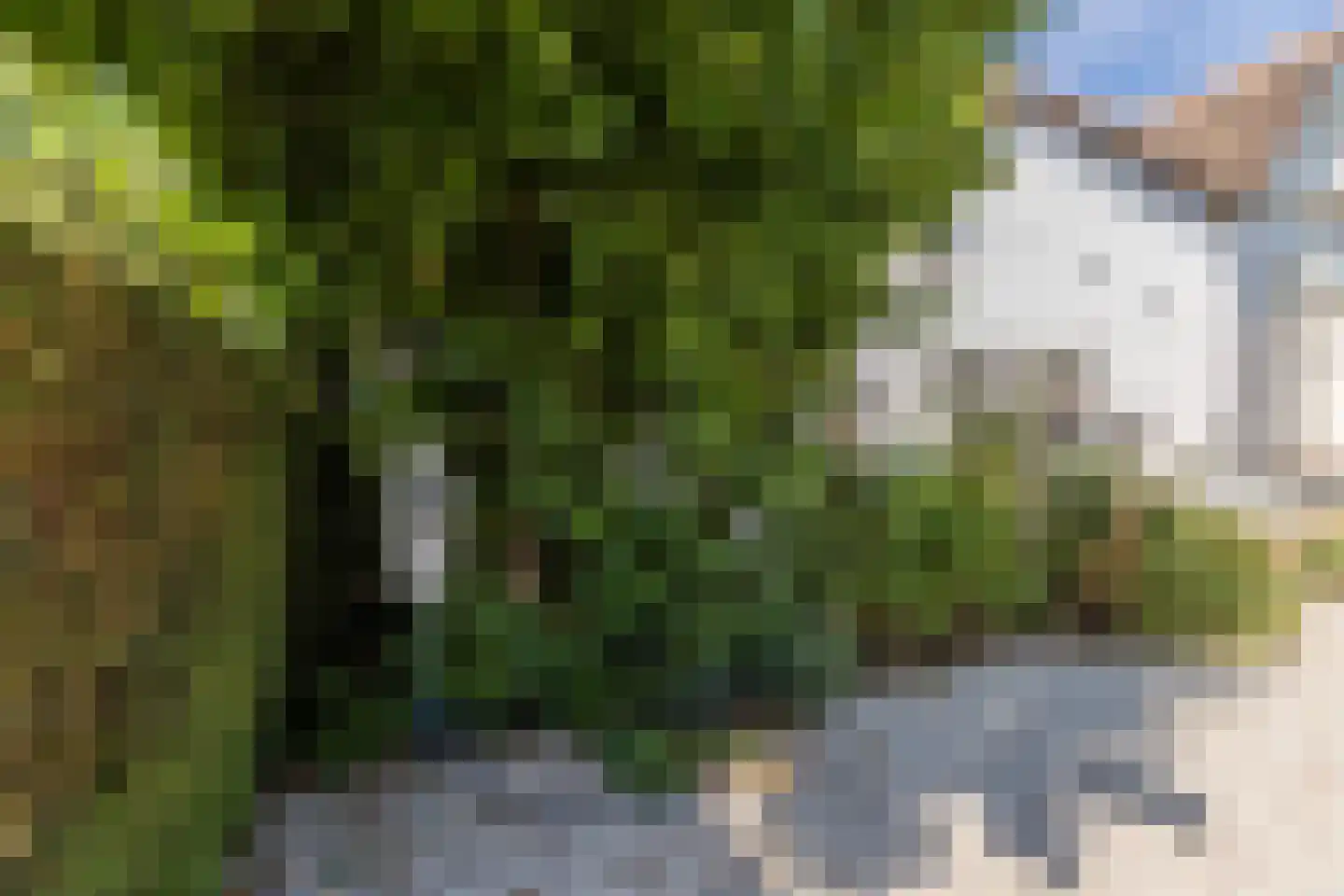 Dorpsstraat 27 Nieuwer Ter Aa thumbnail 47