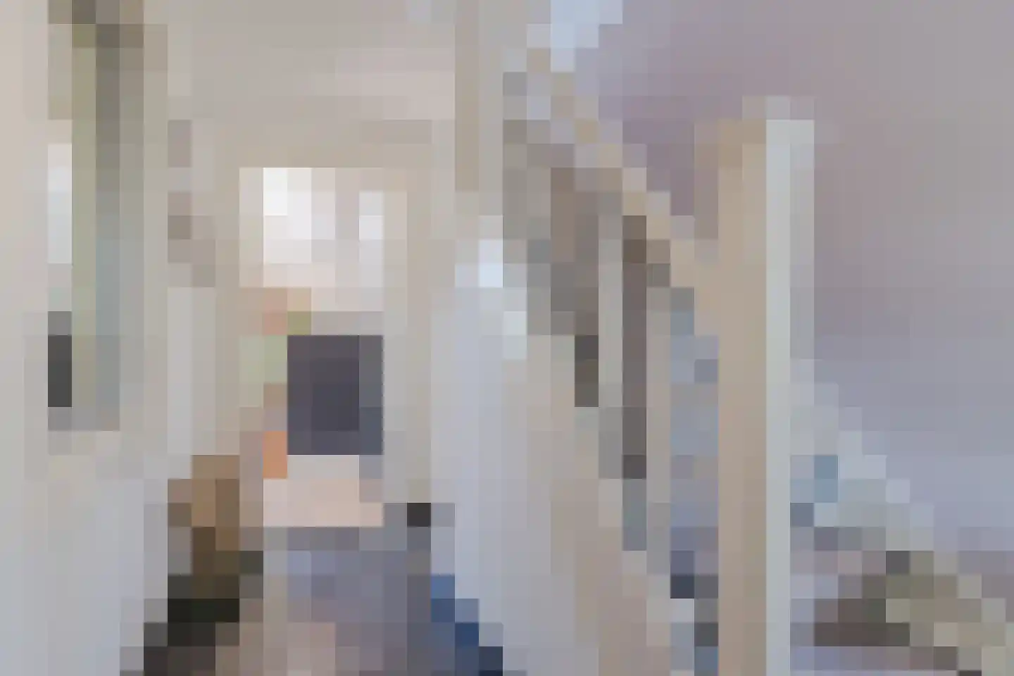 Dorpsstraat 27 Nieuwer Ter Aa thumbnail 8