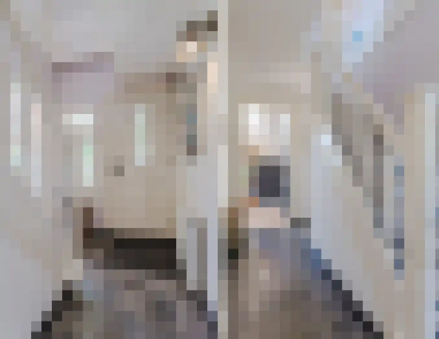 Dorpsstraat 27 Nieuwer Ter Aa thumbnail 9