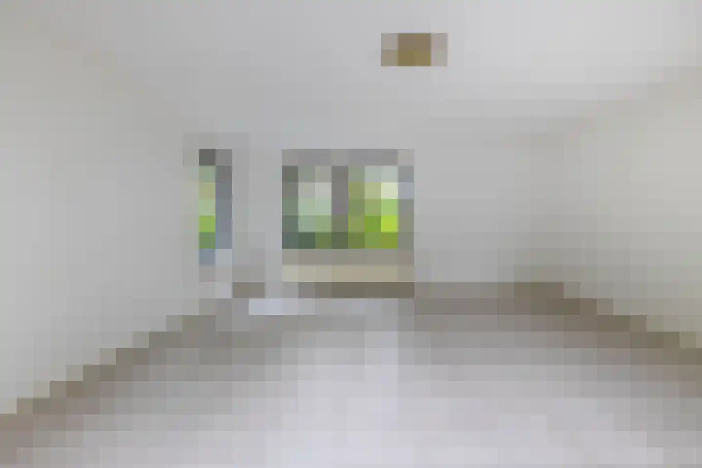 Dorpsstraat 27 Vriescheloo thumbnail 11