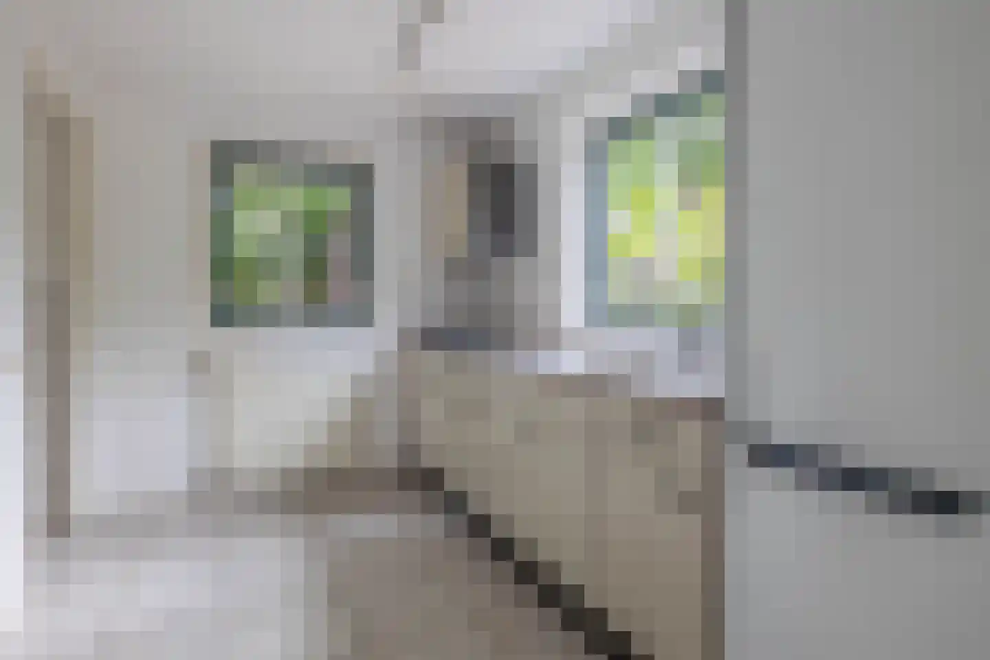 Dorpsstraat 27 Vriescheloo thumbnail 13