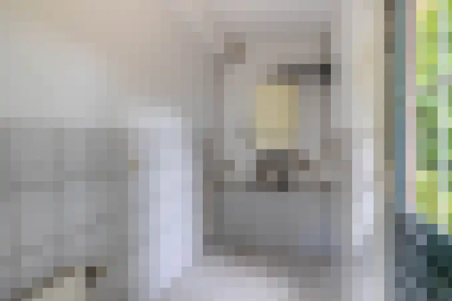 Dorpsstraat 27 Vriescheloo thumbnail 20