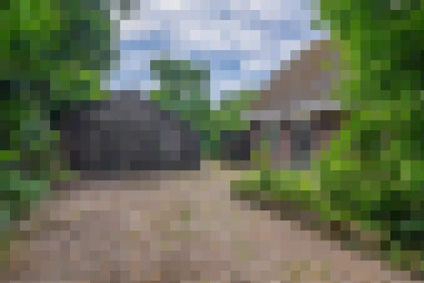 Dorpsstraat 27 Vriescheloo thumbnail 29