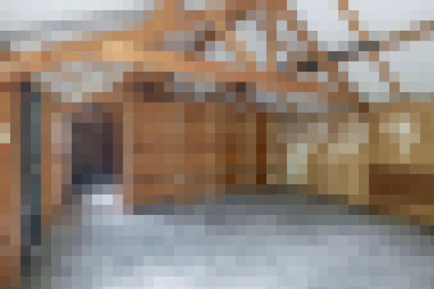 Dorpsstraat 27 Vriescheloo thumbnail 30
