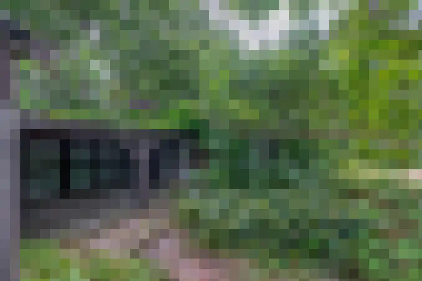 Dorpsstraat 27 Vriescheloo thumbnail 31