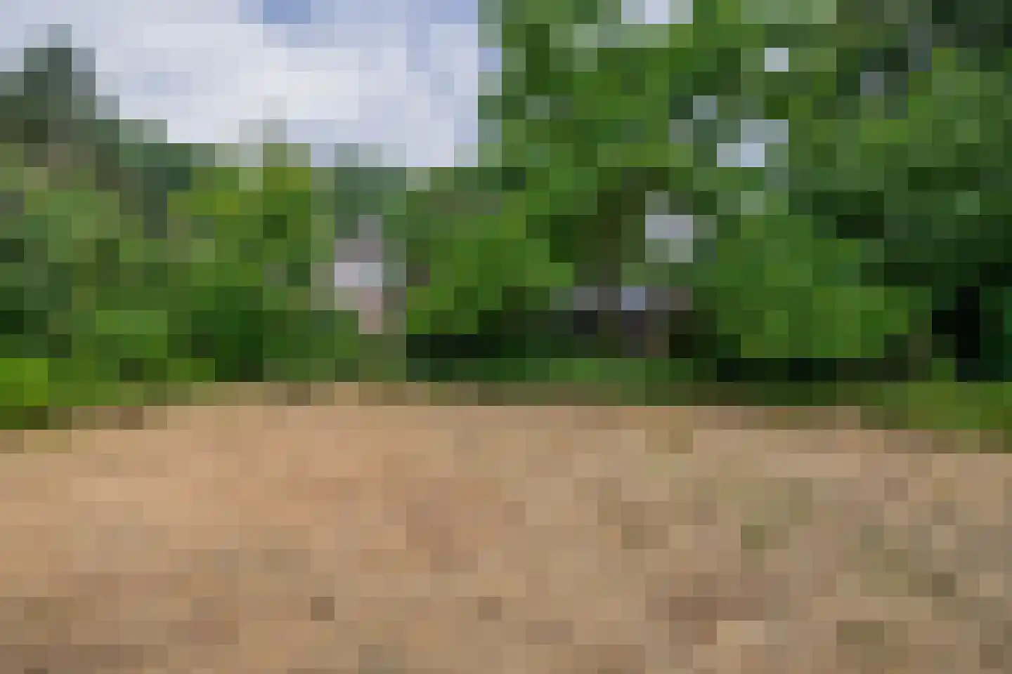 Dorpsstraat 27 Vriescheloo thumbnail 32