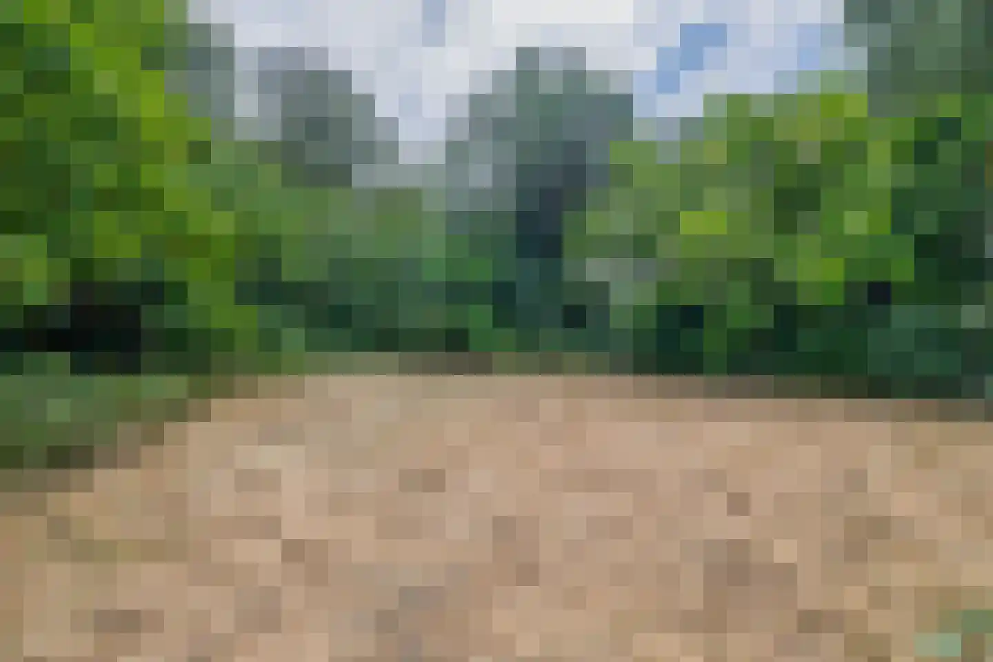 Dorpsstraat 27 Vriescheloo thumbnail 33