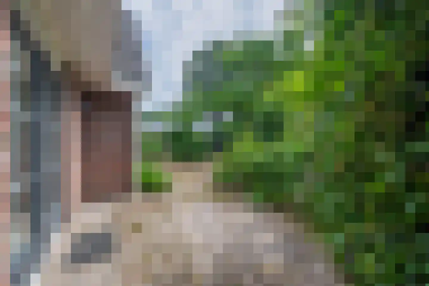 Dorpsstraat 27 Vriescheloo thumbnail 34