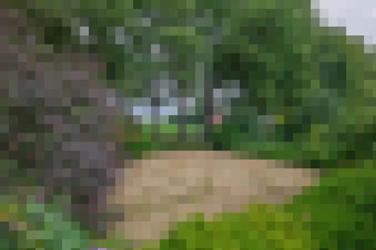 Dorpsstraat 27 Vriescheloo thumbnail 35