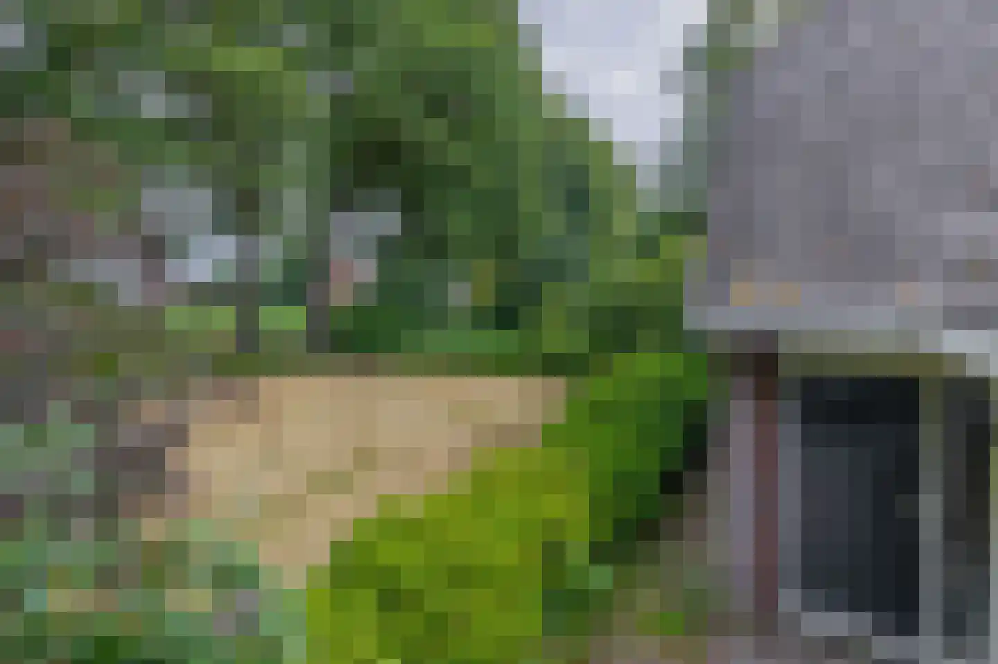 Dorpsstraat 27 Vriescheloo thumbnail 36