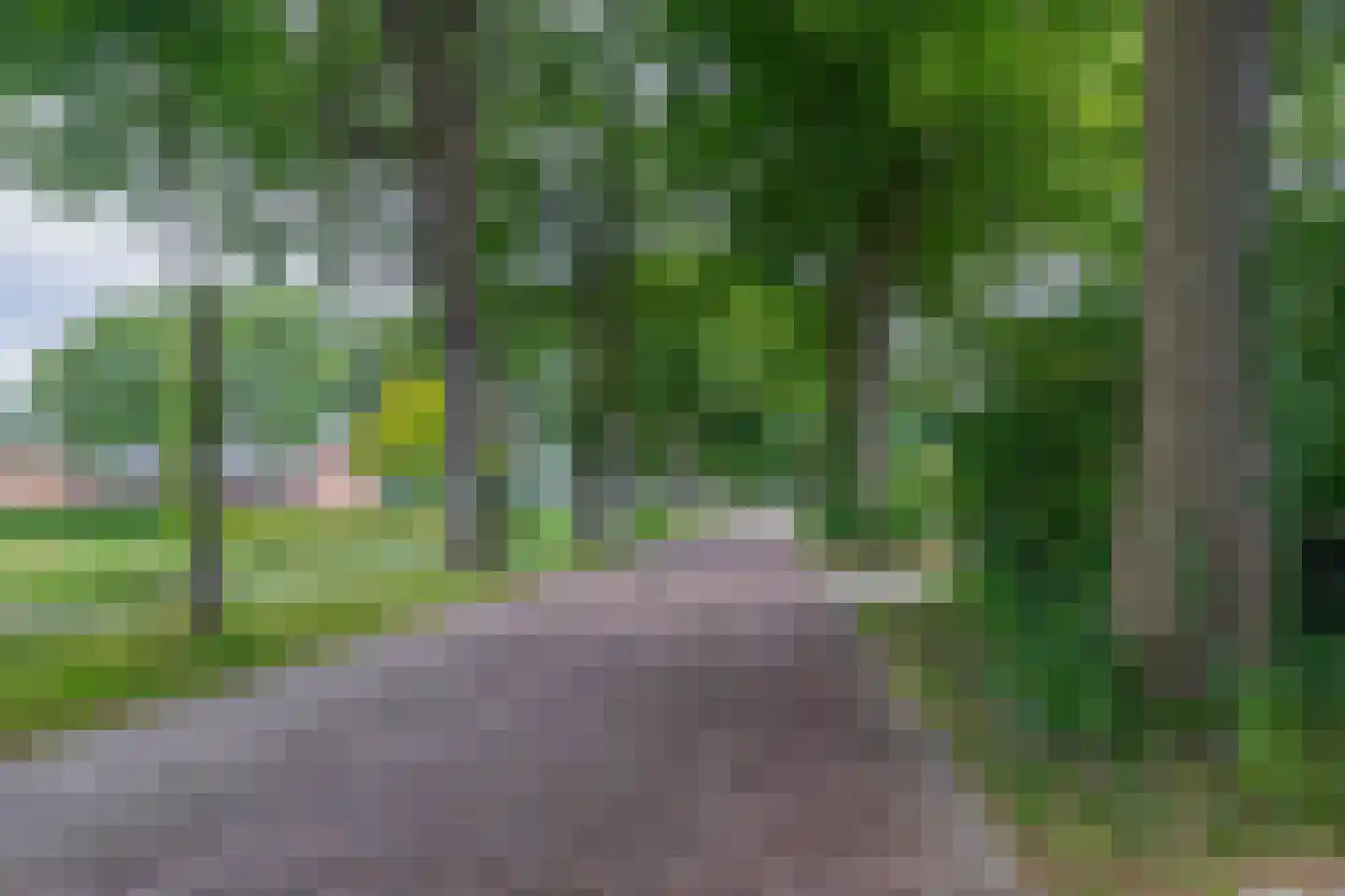 Dorpsstraat 27 Vriescheloo thumbnail 37
