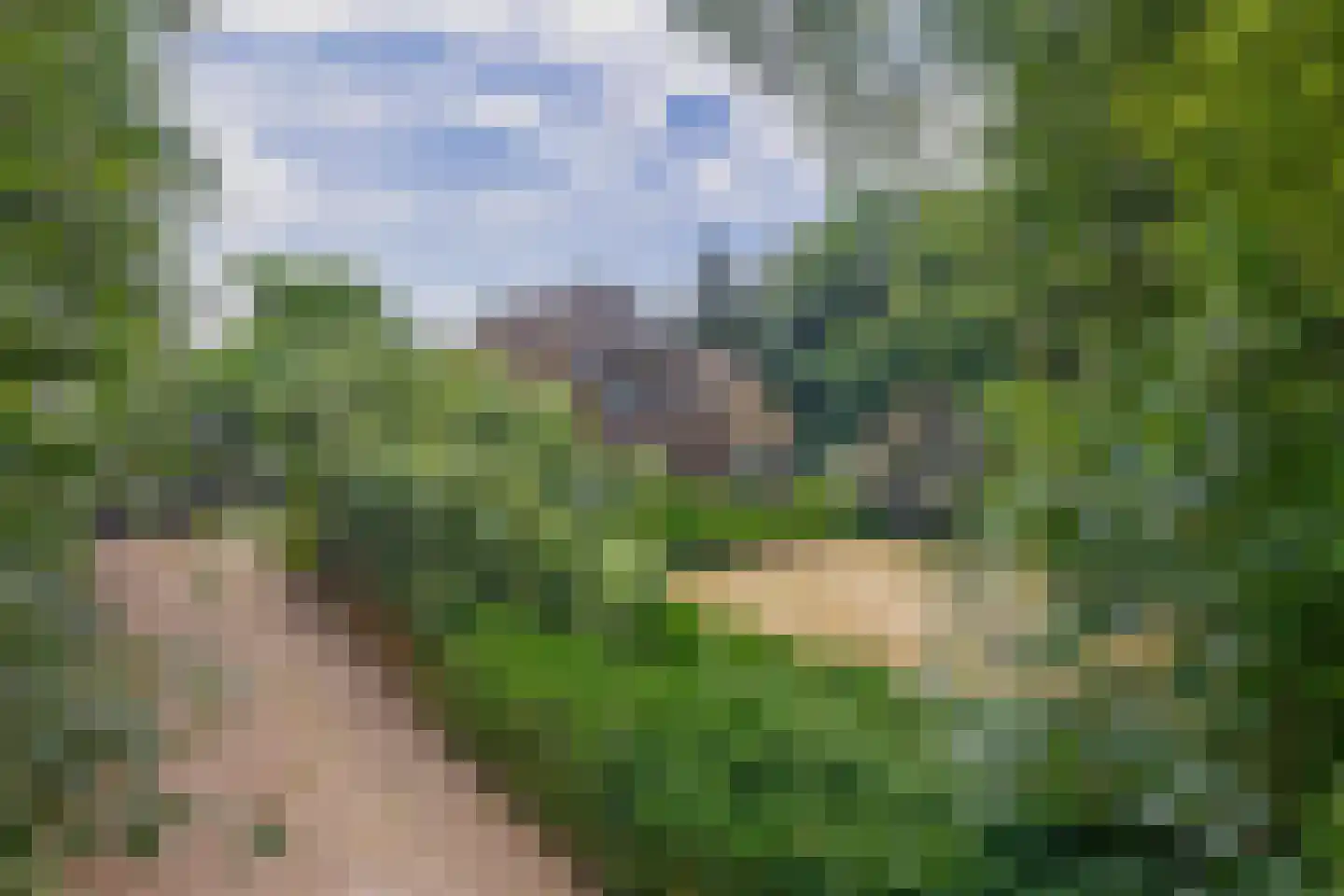 Dorpsstraat 27 Vriescheloo thumbnail 39