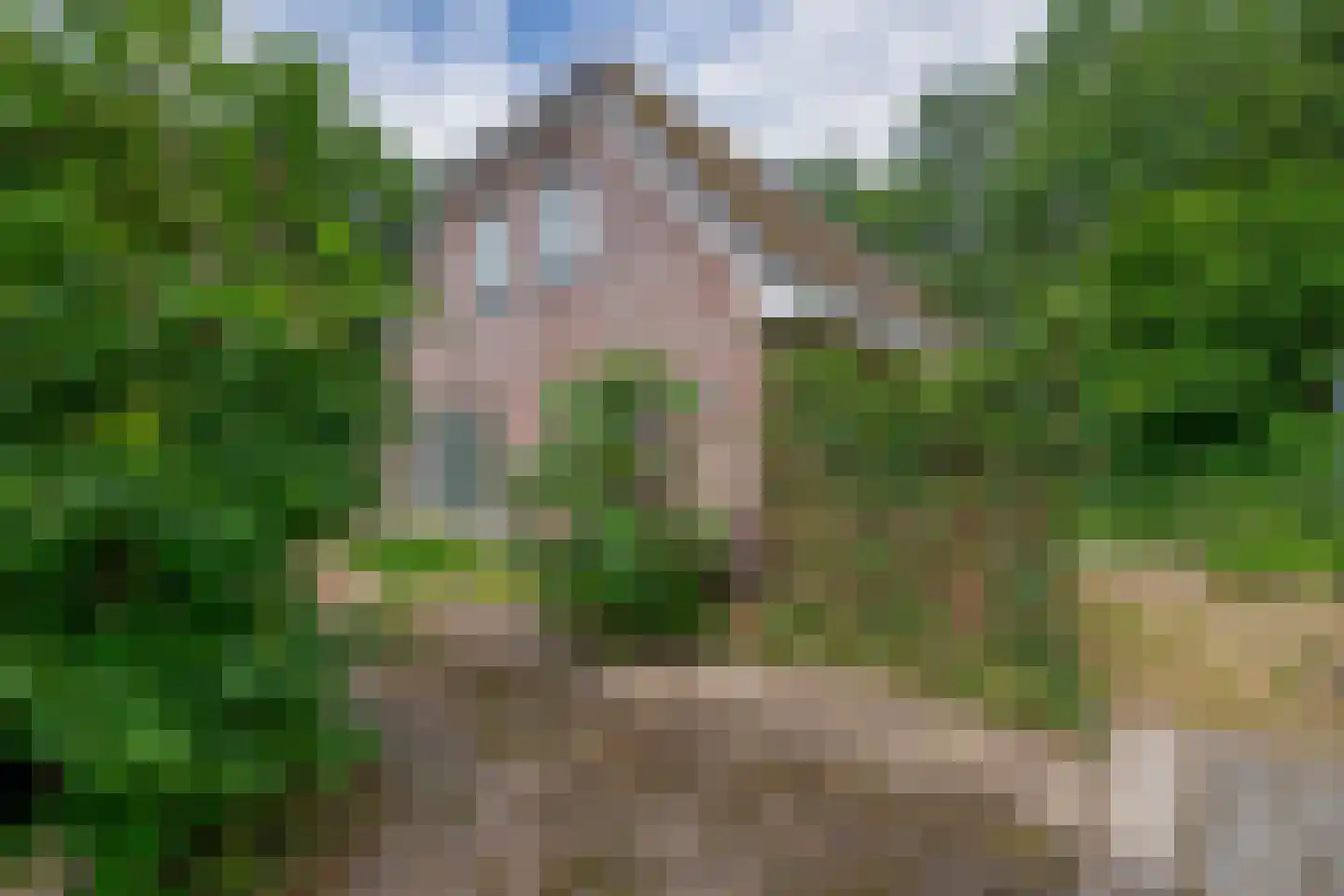 Dorpsstraat 27 Vriescheloo thumbnail 40