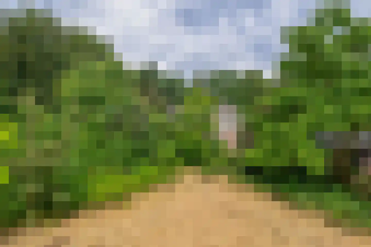 Dorpsstraat 27 Vriescheloo thumbnail 41