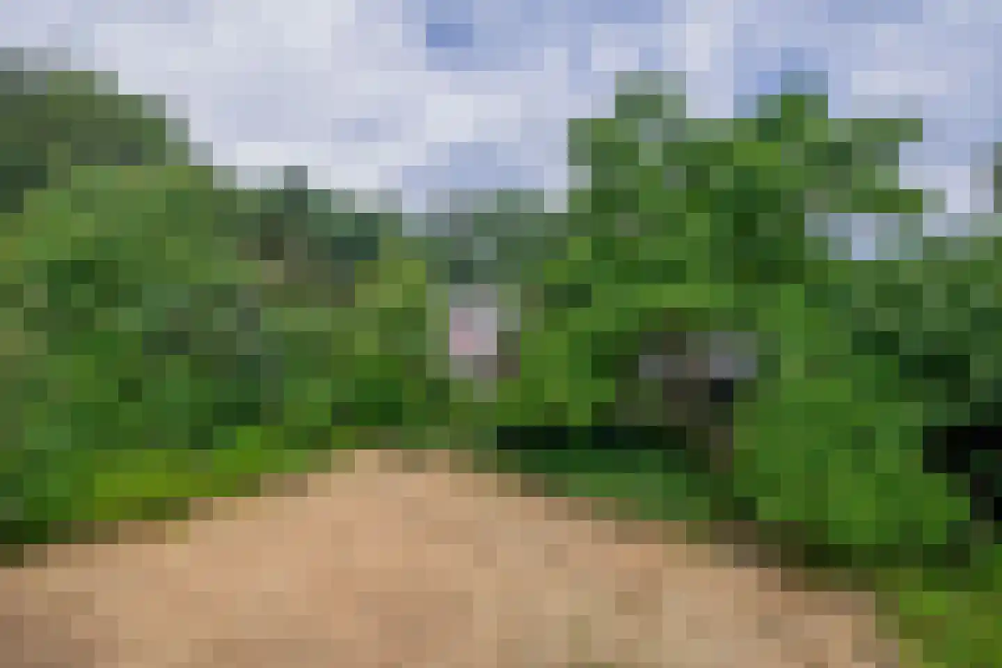 Dorpsstraat 27 Vriescheloo thumbnail 42