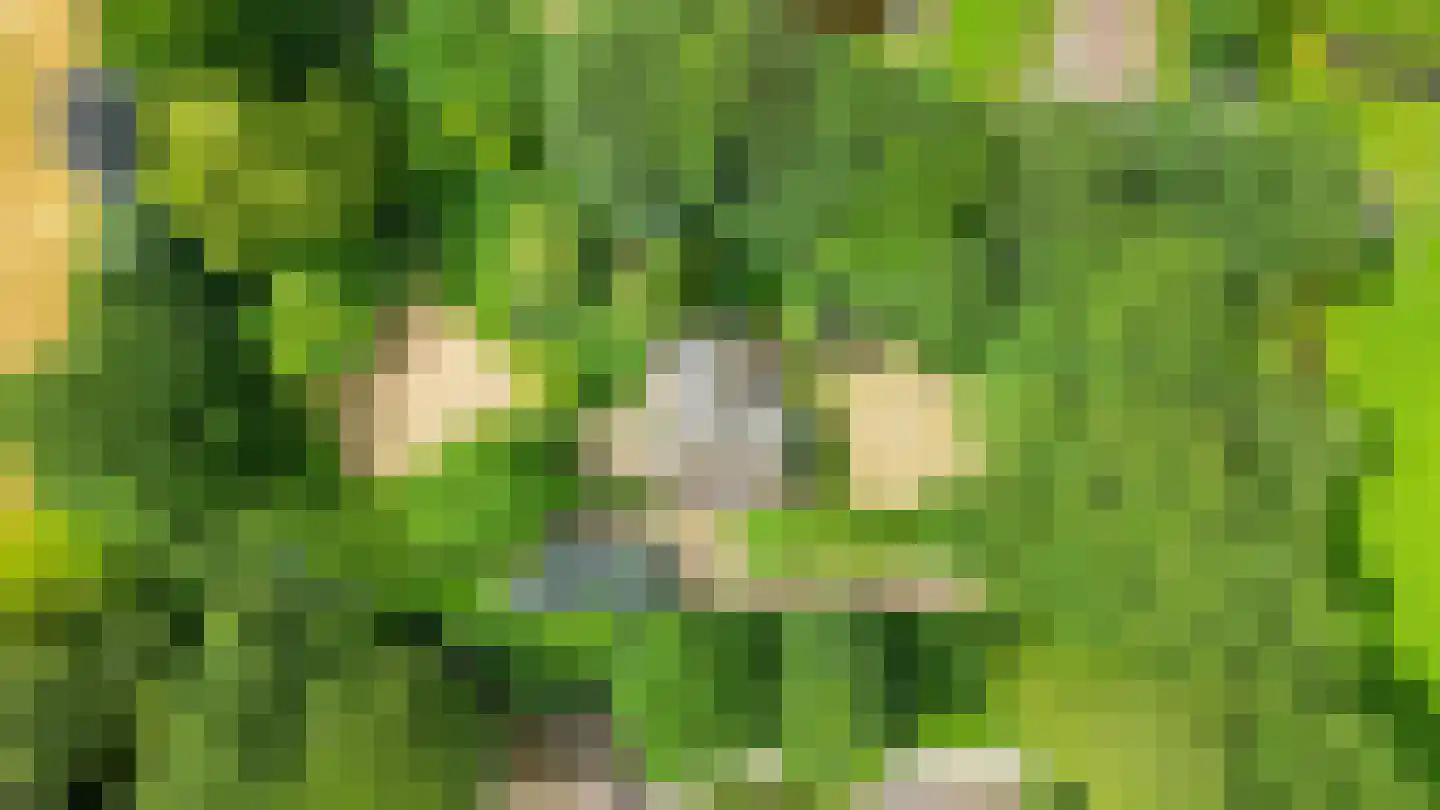 Dorpsstraat 27 Vriescheloo thumbnail 43