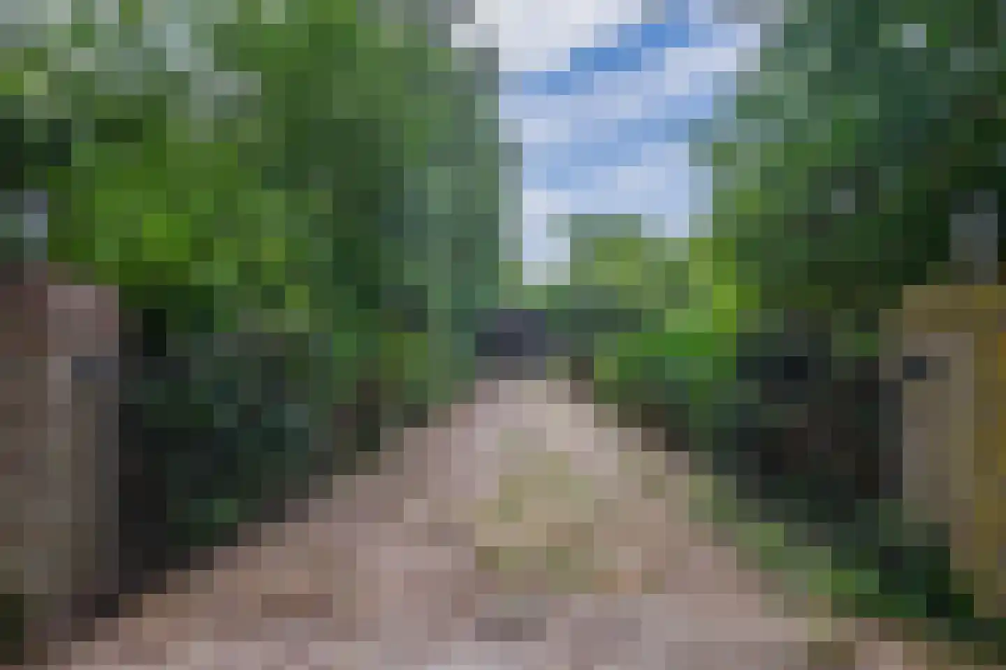 Dorpsstraat 27 Vriescheloo thumbnail 5