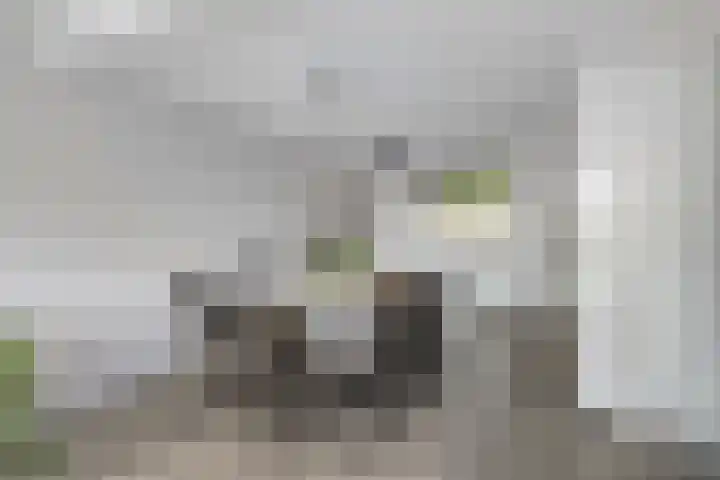Dorpsstraat 27 Wemeldinge thumbnail 10