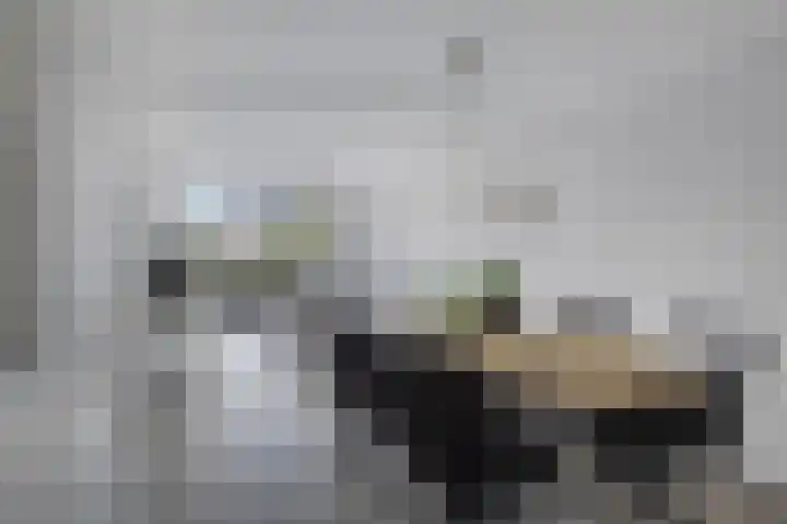 Dorpsstraat 27 Wemeldinge thumbnail 11