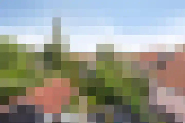Dorpsstraat 27 Wemeldinge thumbnail 24