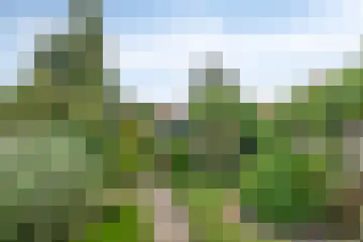 Dorpsstraat 27 Wemeldinge thumbnail 27