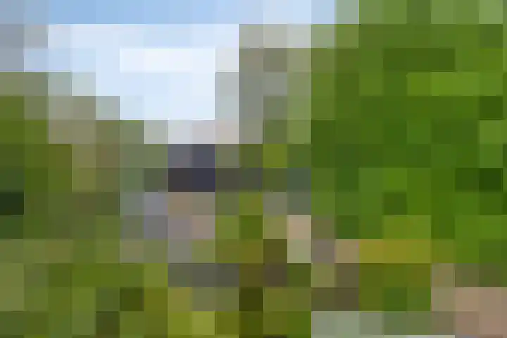 Dorpsstraat 27 Wemeldinge thumbnail 28